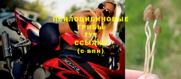 героин Грязовец
