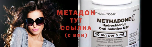 прущие грибы Осинники