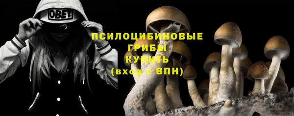винт Няндома