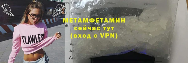 прущие грибы Осинники