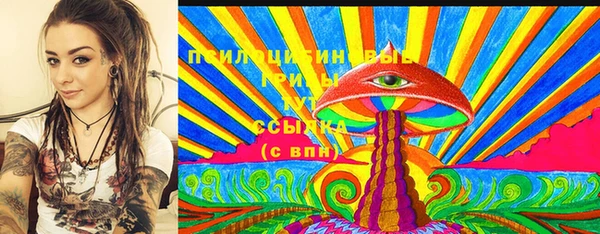 прущие грибы Осинники